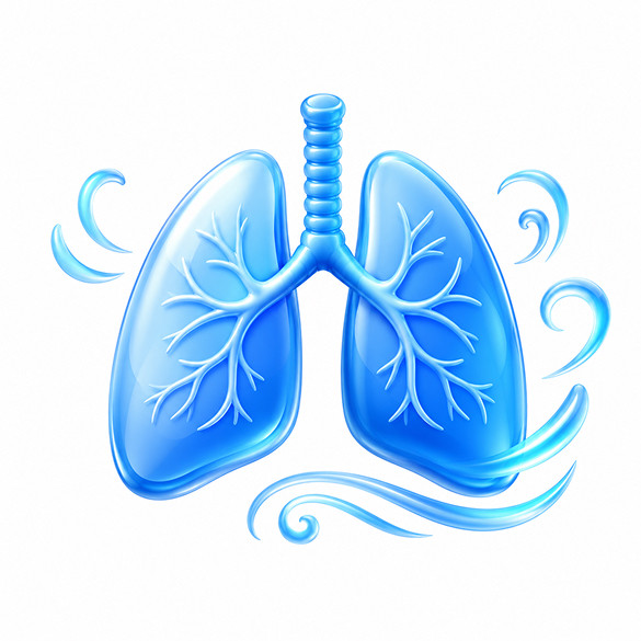 Sistema Respiratorio