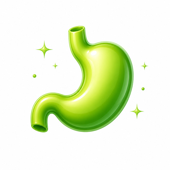 Salud Digestiva